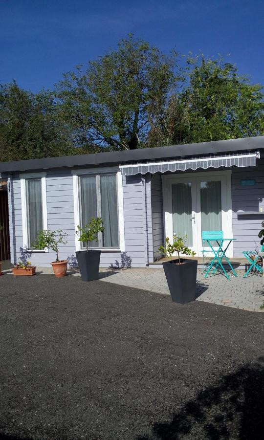 Camarsac Agreable Petit Chalet المظهر الخارجي الصورة